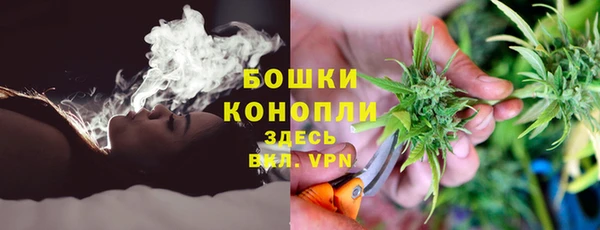 ПСИЛОЦИБИНОВЫЕ ГРИБЫ Покачи