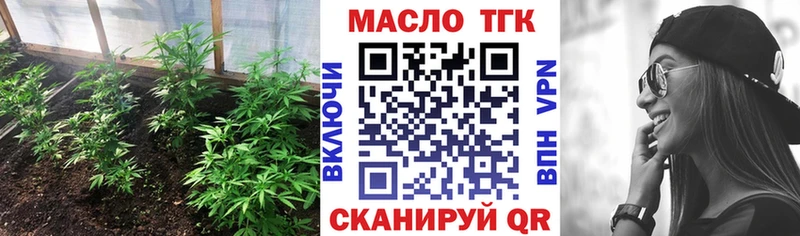 площадка какой сайт  купить  сайты  Каменногорск  ТГК жижа 
