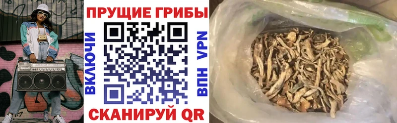 Галлюциногенные грибы прущие грибы  mega онион  Каменногорск 