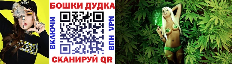 цена наркотик  Каменногорск  Канабис White Widow 
